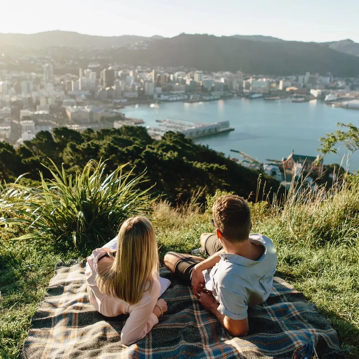 Visitors looking out over Wellington from Mount Victoria